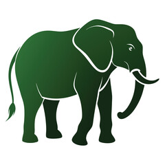 silhouette elephant on white background