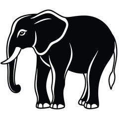 silhouette elephant on white background