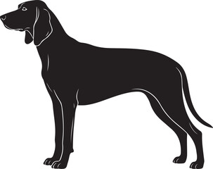 Grand Anglo-Français Blanc et Noir Silhouettes