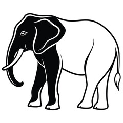 silhouette elephant on white background