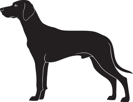 Hellenic Hound Silhouettes