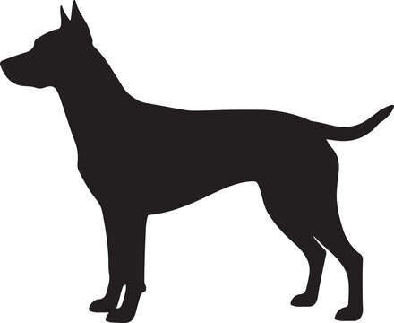 Indian Pariah Dog Silhouettes