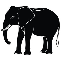 silhouette elephant on white background