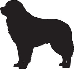 Karakachan Dog Silhouettes