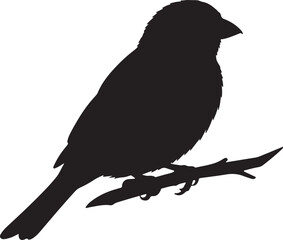 Dainty Sparrow Silhouettes Vector Pack