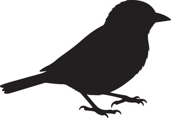 Side View of a Palm Warbler in Walking