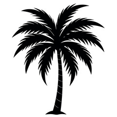 Obraz premium Palm Tree Drawing