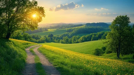 Tranquil countryside scenery with sunlit fields golden flowers winding path verdant meadows and rolling hills at sunset