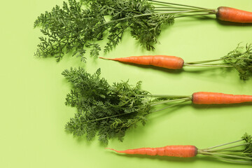 Fresh carrots with leaves on green background