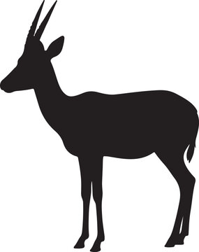Suni Side View Silhouettes