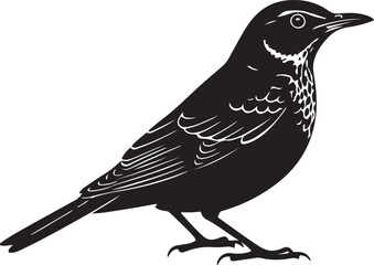White’s Thrush Side View Silhouettes
