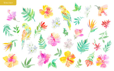 Vector illustration set of abstract watercolor hibiscus flowers, tropical plants, monstera leaves, and parrots. Hand-painted tropical botanical clipart set with exotic plants and bird for summer.