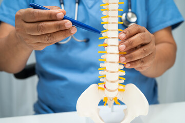 Doctor with lumbar vertebra bone skeleton and nerve model for treatment in the orthopedic...