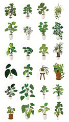 Urban Jungle: A Lush Greenery Indoor Garden Oasis with Potted Plants and Botanical Art for Eco-Friendly Home Decor and Wellness Spaces