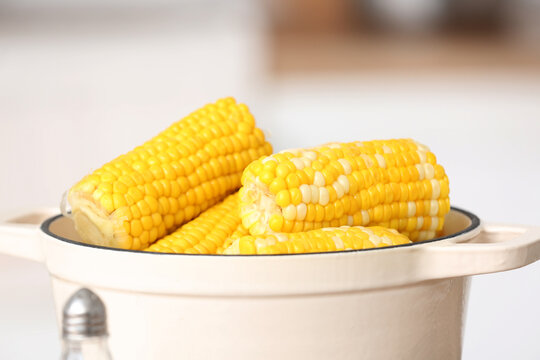 Cooking pot with boiled corn cobs on white background, closeup