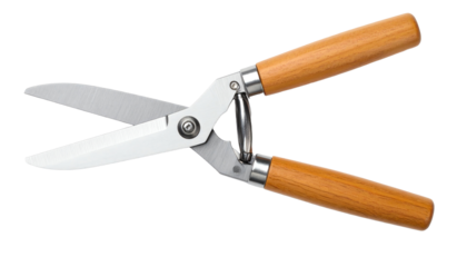 Gardening scissors with wooden handles for pruning.