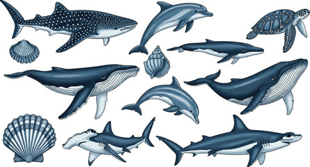 Obraz premium Whales, dolphins, sharks, sea turtle and shells marine wildlife illustration isolated. Clipart watercolor ocean animals