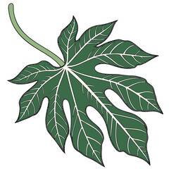 Isolated green leaf illustration, clean cutout, transparent background