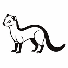 Weasel on white background 