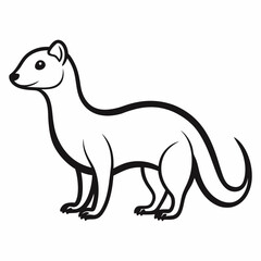 Weasel on white background 