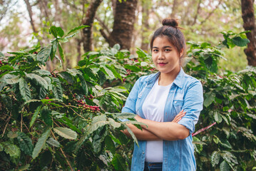 Smart farmer women holding smartphone digital tablet in eco green farm check quality control coffee tree. Woman worker Hands pointing screen device use technology planting tree in eco biotechnology