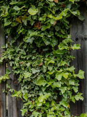 Edinburgh, Scotland, United Kingdom