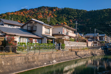 Fototapeta premium Japanese houses by Biwa canal with colorful autumn leaf of mountain valley at Yamashina ward, eastern of Kyoto, Japan. travel destination for tourist in Kansai on peak fall season in December.