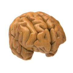 human brain isolated 3d render
