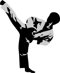Martial arts side kick silhouette figures