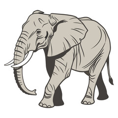 Fototapeta premium Elephant The largest land animal admired for its intelligence and gentle nature