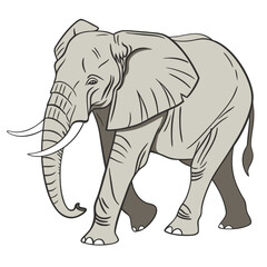 Fototapeta premium Elephant The largest land animal admired for its intelligence and gentle nature