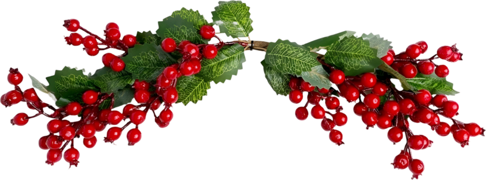 Red Berries and Lush Green Leaves