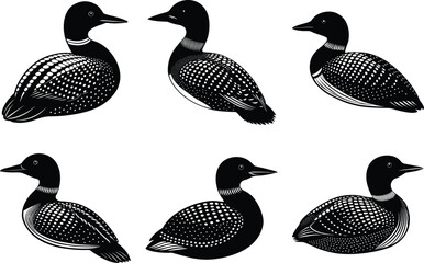 Loon Bird Silhouette Vector Illustration Bundle