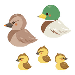 お座りしたアイガモの親子イラストセット