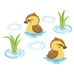 水田にいるアイガモのヒナのイラスト