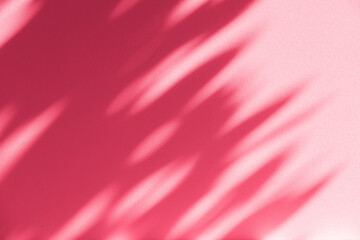 Wall interior background, studio and backdrops show products.with shadow from window color pink background for text insertion and presentation interior decoration	