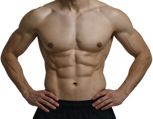 Cropped studio photo of sportive shape men wear sportswear showing perfect belly muscular isolated on transparent or white background