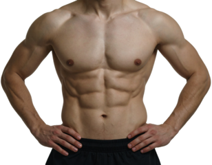 Cropped studio photo of sportive shape men wear sportswear showing perfect belly muscular isolated on transparent or white background