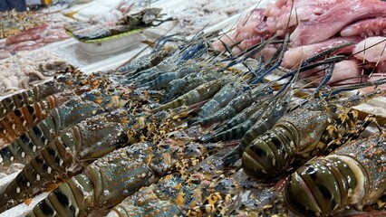 Cervical lobster on display seafood market