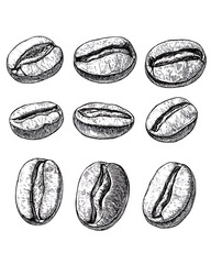 Realistic and artistic illustrations of coffee beans, brewing equipment, coffee cups, baristas, coffee farms, roasting processes, and café scenes