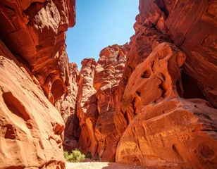 Selbstklebende Fototapeten Dramatic red sandstone canyon with towering rock formations and blue sky viewed from below in desert landscape © AiMaball