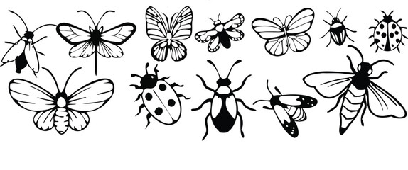 Insect icon set