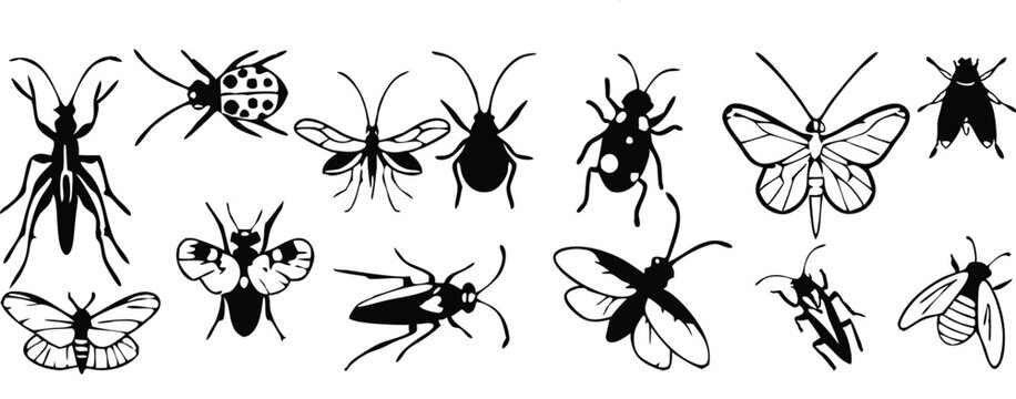 lack insect vector set silhouette pattern