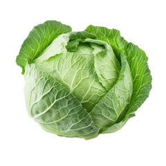 Fototapeta premium Fresh green cabbage with vibrant leaves isolated on a clean white background for culinary presentations, fresh cabbage isolated on white background