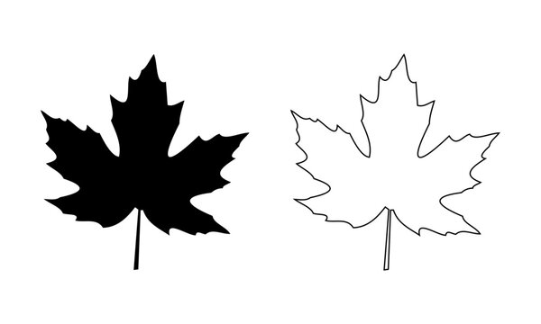 Maple leaf thin line icon. Two stylized maple leaves in black silhouette and outline.
