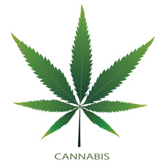 green cannabis leaf on white background vector,illustration