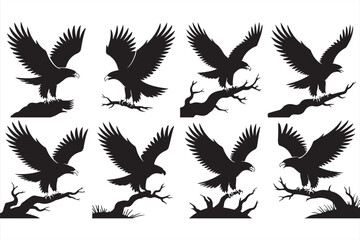 Eagle Vector Illustrations Featuring Majestic Flight and Perch Poses for Artistic Use