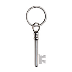Stylish metal key on a simple keyring.