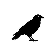 Side Profile of Crow Standing for Dark and Gothic Themes