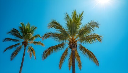 A tall palm tree standing against the blue sky with its leaves swaying in the wind, capturing a tropical and serene moment.